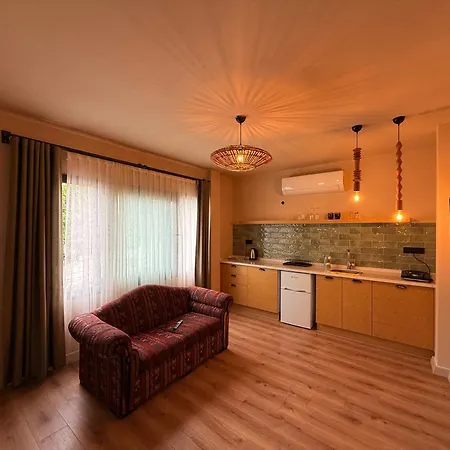 Apartment Kastro